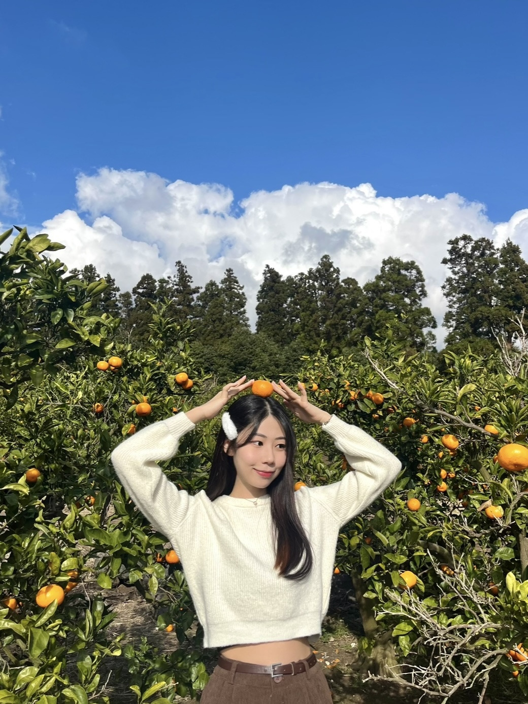 콩